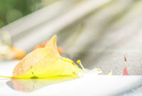 球界掀起了 球界掀起了