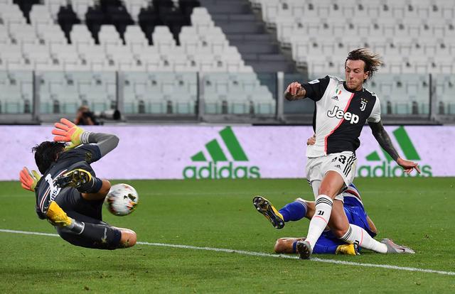 优秀的羽毛 优秀的羽毛