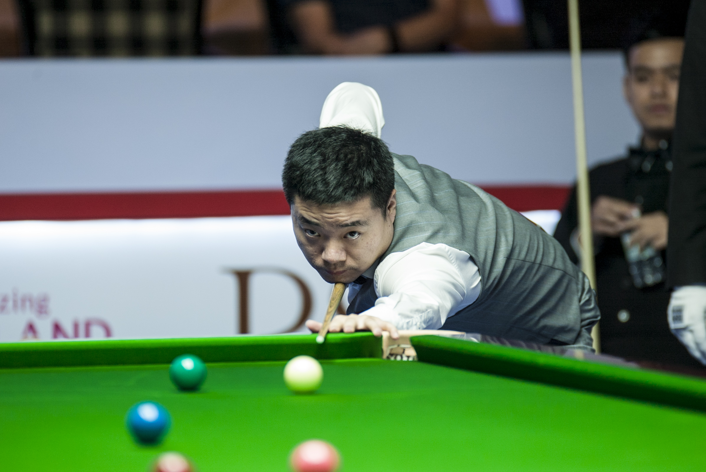 家庭也在欧 家庭也在欧